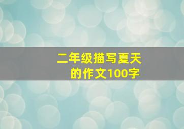 二年级描写夏天的作文100字