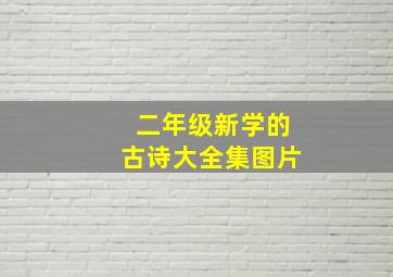 二年级新学的古诗大全集图片