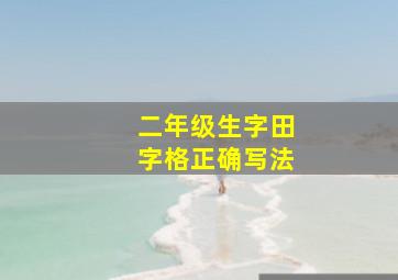 二年级生字田字格正确写法