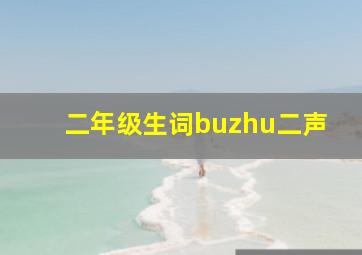 二年级生词buzhu二声