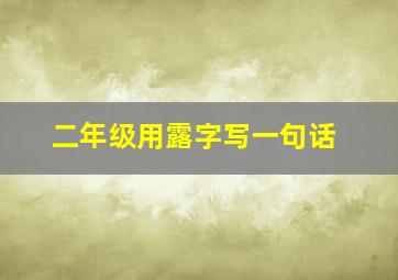 二年级用露字写一句话