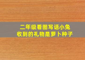 二年级看图写话小兔收到的礼物是萝卜种子