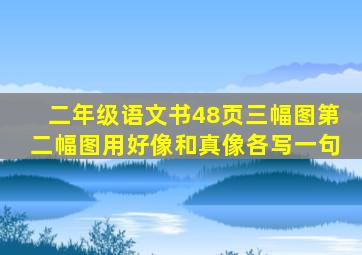 二年级语文书48页三幅图第二幅图用好像和真像各写一句