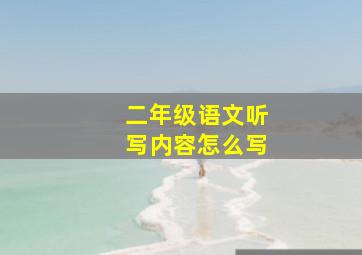 二年级语文听写内容怎么写