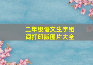 二年级语文生字组词打印版图片大全