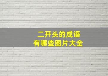 二开头的成语有哪些图片大全