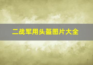 二战军用头盔图片大全