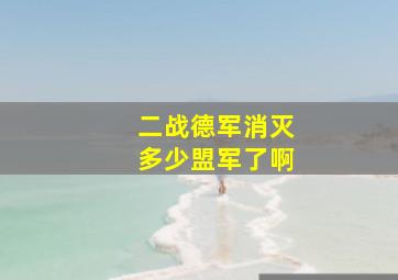 二战德军消灭多少盟军了啊