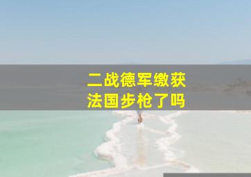 二战德军缴获法国步枪了吗