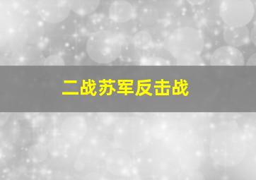 二战苏军反击战