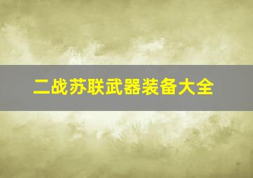 二战苏联武器装备大全