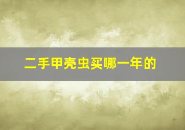 二手甲壳虫买哪一年的