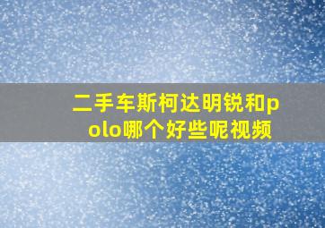 二手车斯柯达明锐和polo哪个好些呢视频