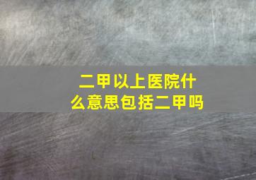 二甲以上医院什么意思包括二甲吗