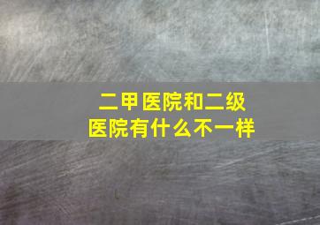 二甲医院和二级医院有什么不一样