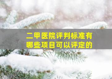 二甲医院评判标准有哪些项目可以评定的