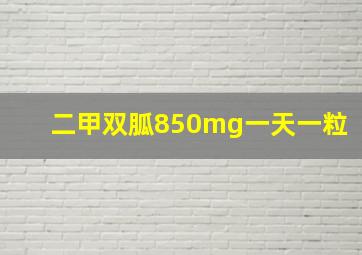 二甲双胍850mg一天一粒