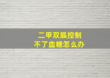 二甲双胍控制不了血糖怎么办