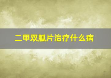 二甲双胍片治疗什么病