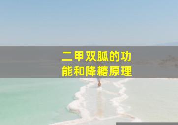 二甲双胍的功能和降耱原理