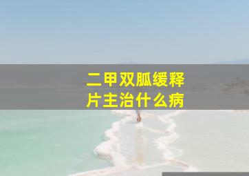 二甲双胍缓释片主治什么病