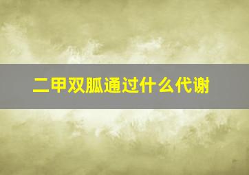 二甲双胍通过什么代谢