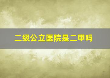 二级公立医院是二甲吗