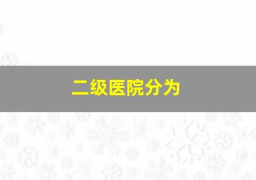 二级医院分为