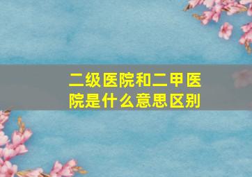 二级医院和二甲医院是什么意思区别