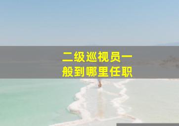 二级巡视员一般到哪里任职