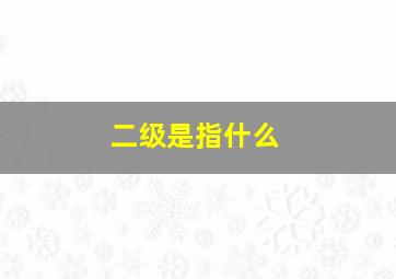 二级是指什么