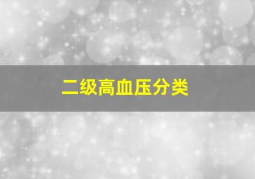 二级高血压分类