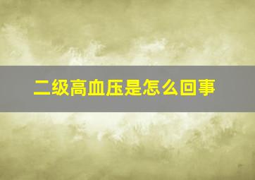 二级高血压是怎么回事