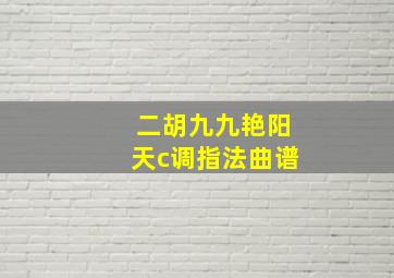 二胡九九艳阳天c调指法曲谱