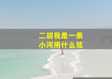 二胡我是一条小河用什么弦