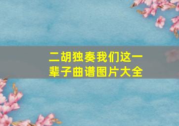 二胡独奏我们这一辈子曲谱图片大全