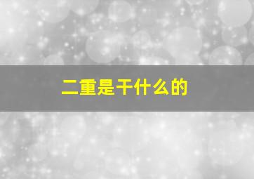 二重是干什么的