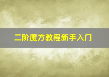 二阶魔方教程新手入门