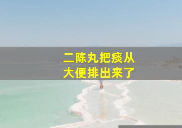 二陈丸把痰从大便排出来了