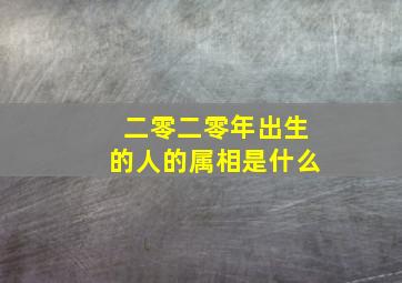 二零二零年出生的人的属相是什么