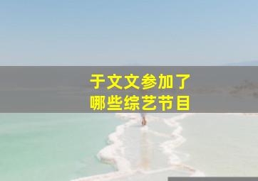 于文文参加了哪些综艺节目