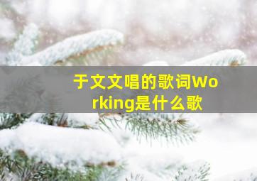 于文文唱的歌词Working是什么歌