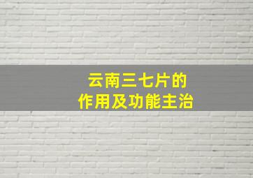 云南三七片的作用及功能主治