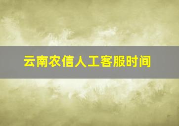 云南农信人工客服时间