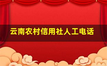 云南农村信用社人工电话