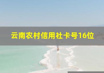 云南农村信用社卡号16位