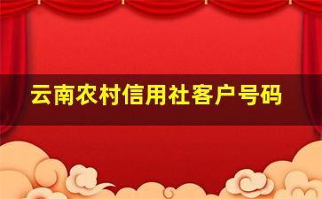 云南农村信用社客户号码