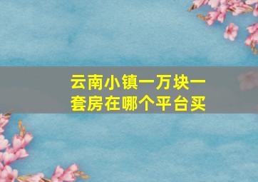 云南小镇一万块一套房在哪个平台买