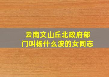 云南文山丘北政府部门叫杨什么波的女同志