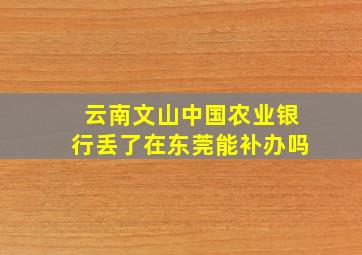 云南文山中国农业银行丢了在东莞能补办吗